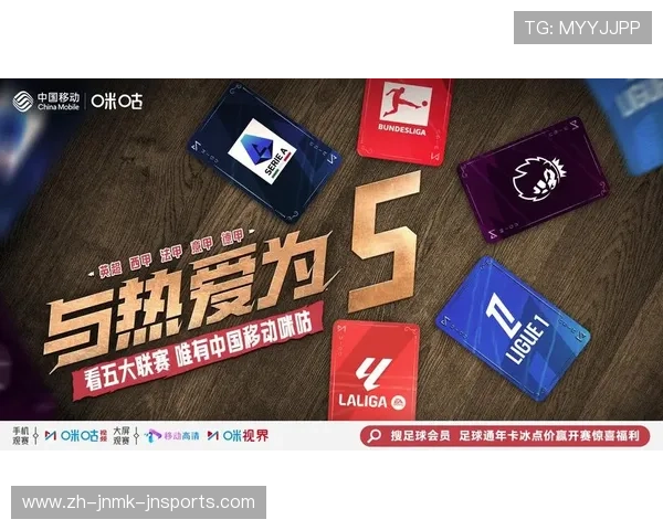 零距离体验德甲赛事直播的五大途径与观看技巧